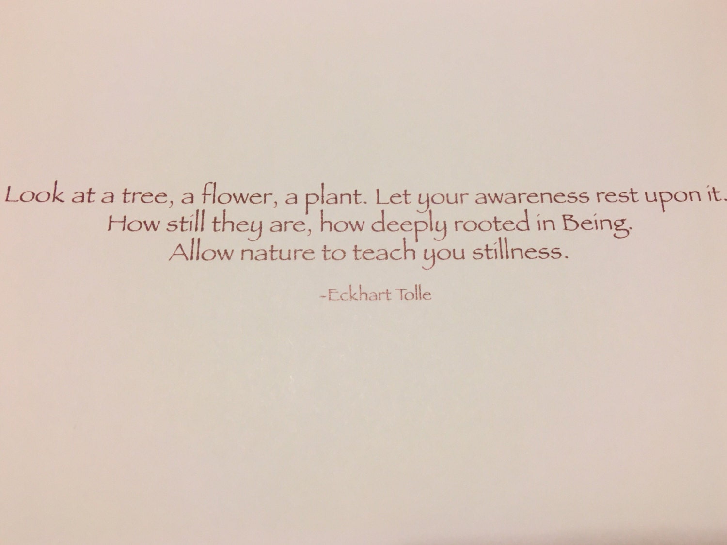 Deeply Rooted Note Card