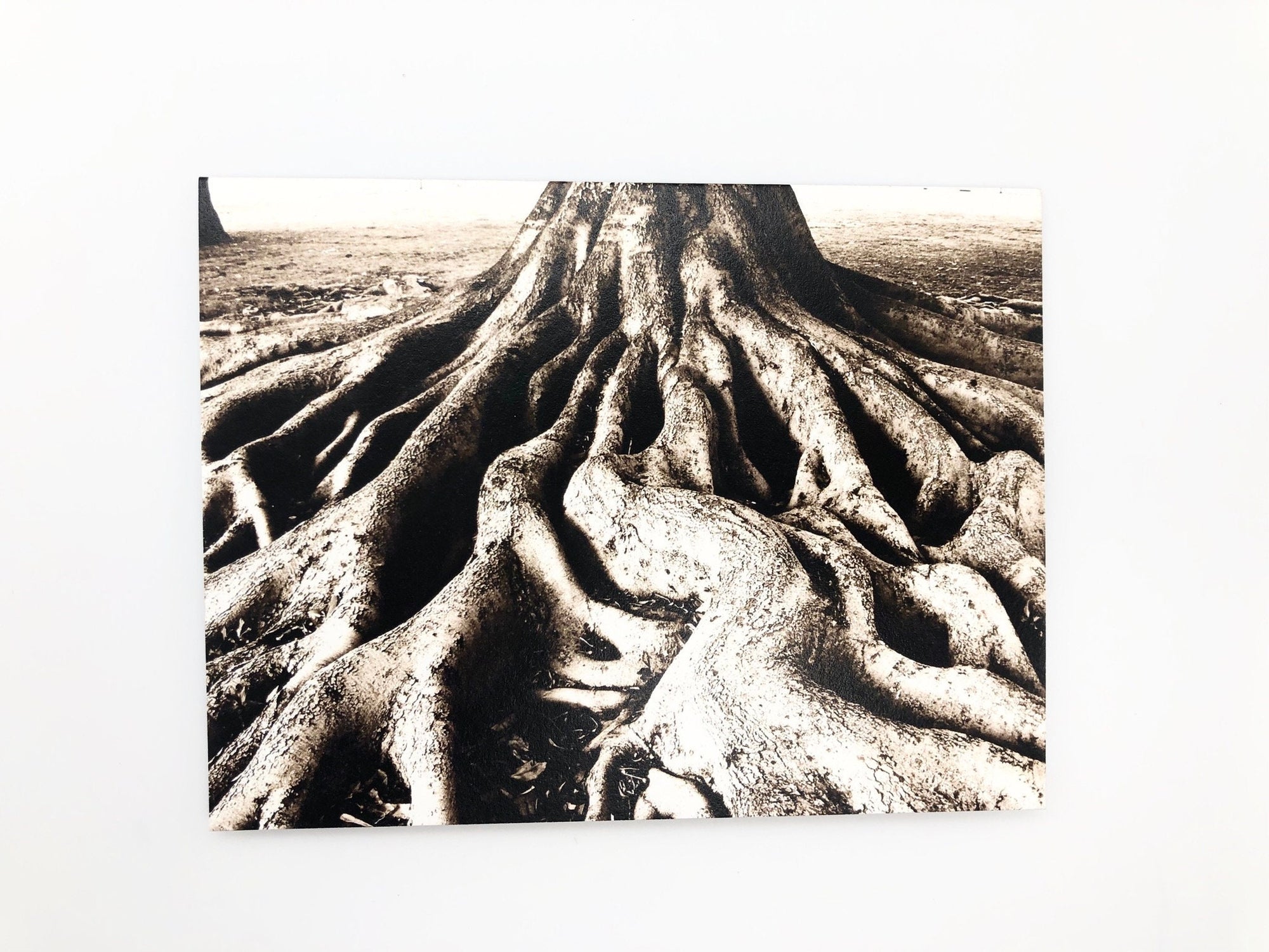 Deeply Rooted Note Card