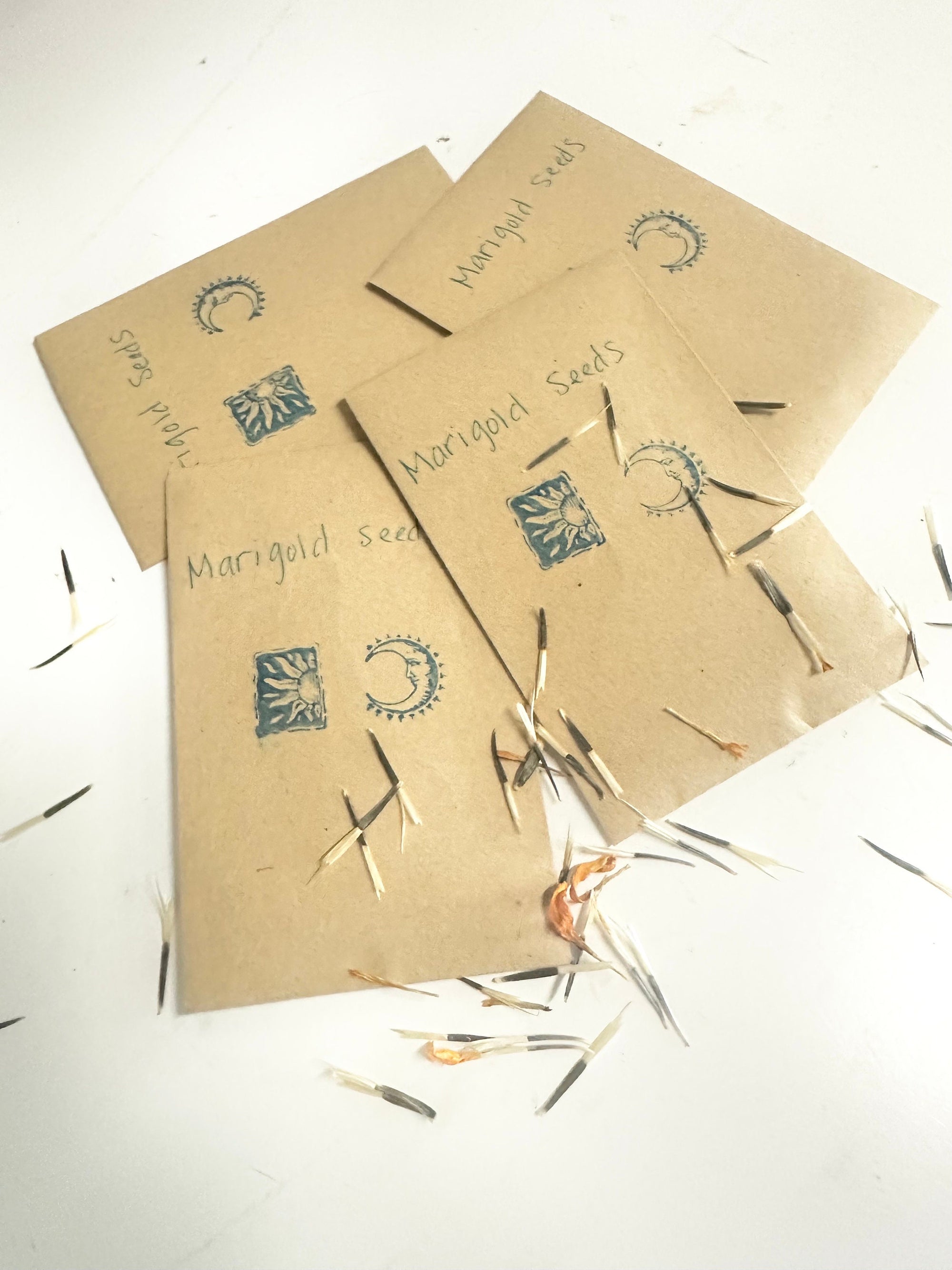 Marigold Seed Packet