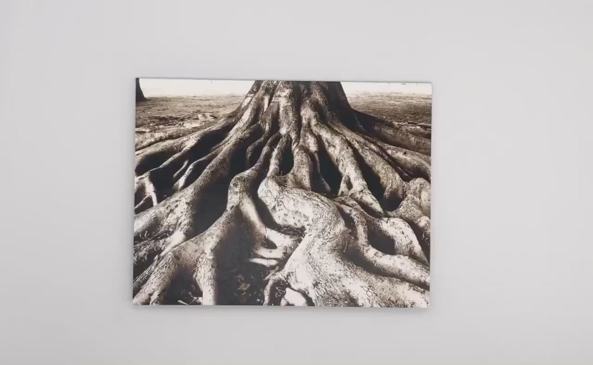Deeply Rooted Note Card