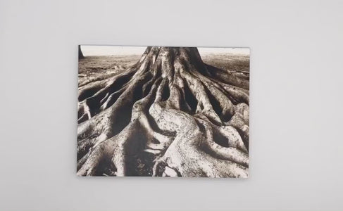 Deeply Rooted Note Card